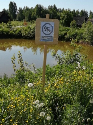 О запрете купания на водоёмах Раменского сельского поселения