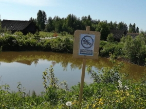 О запрете купания на водоёмах Раменского сельского поселения